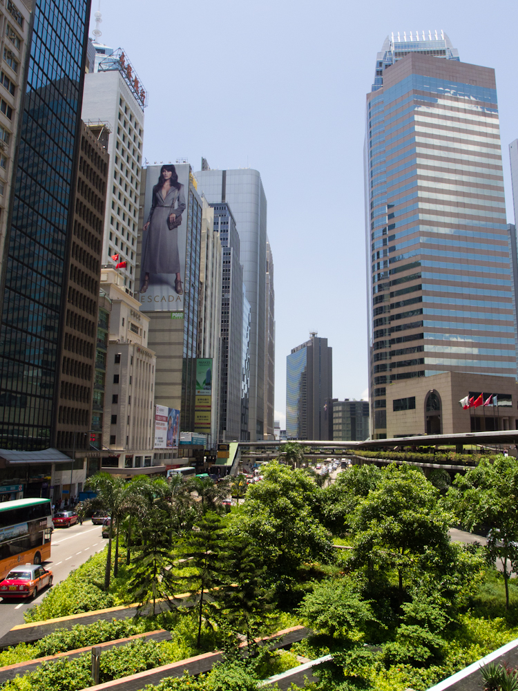 P8020442.jpg