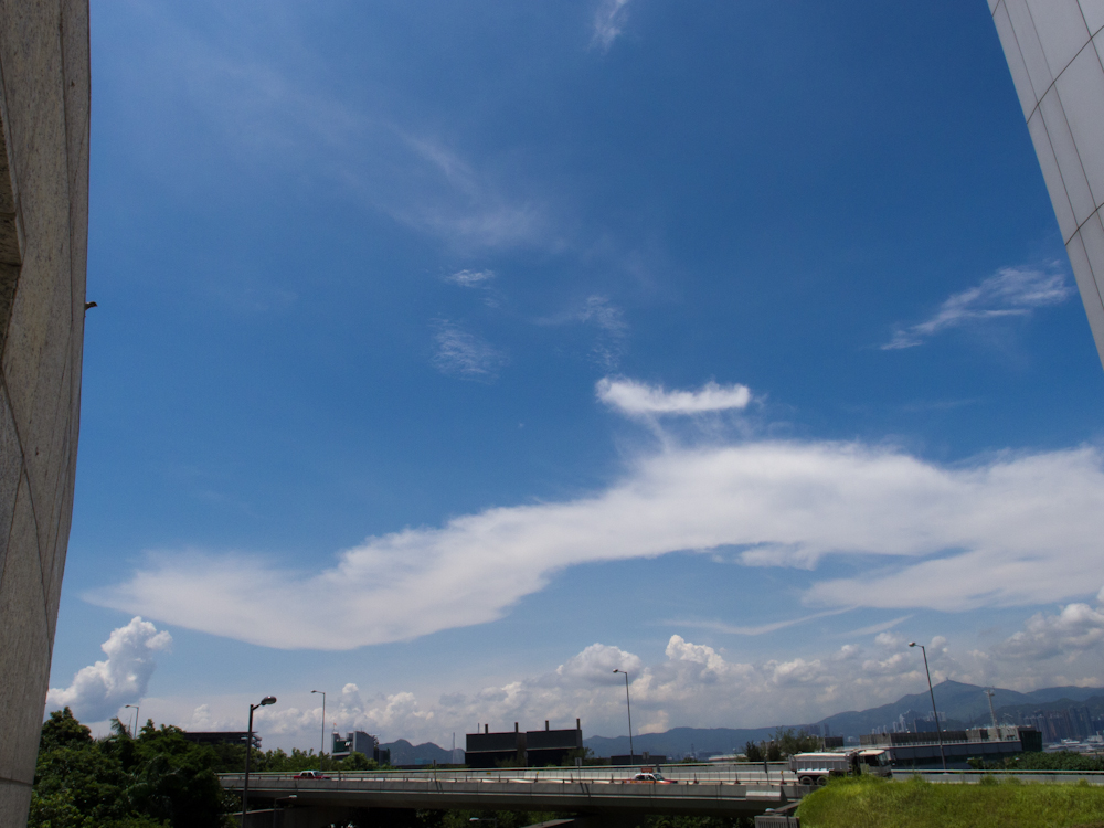 P8240852.jpg