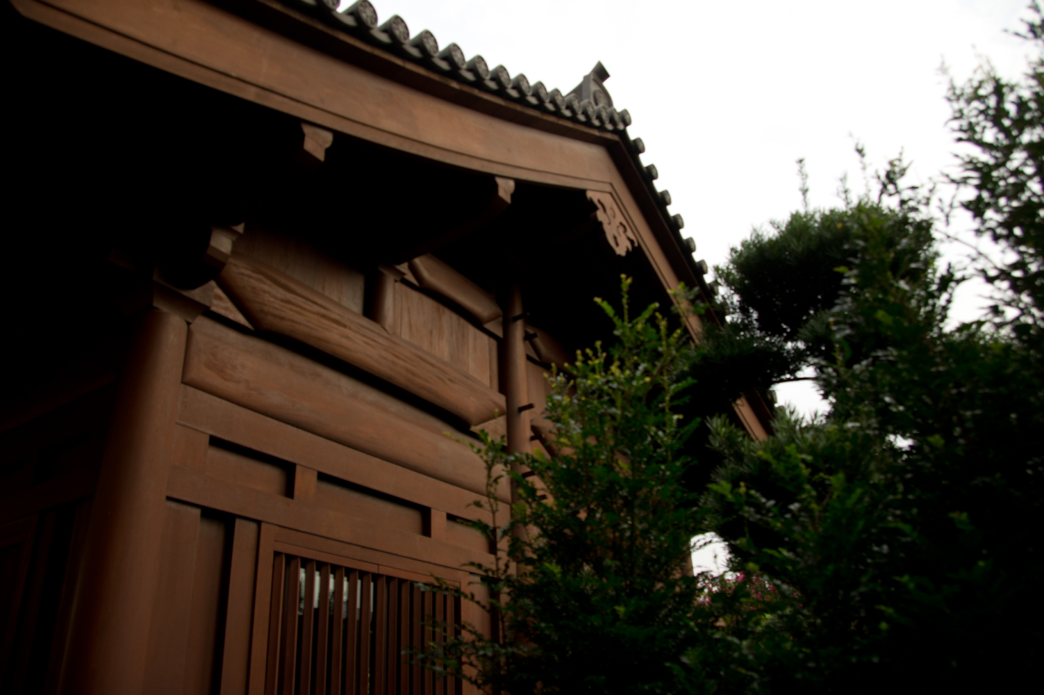 DSC00767.jpg
