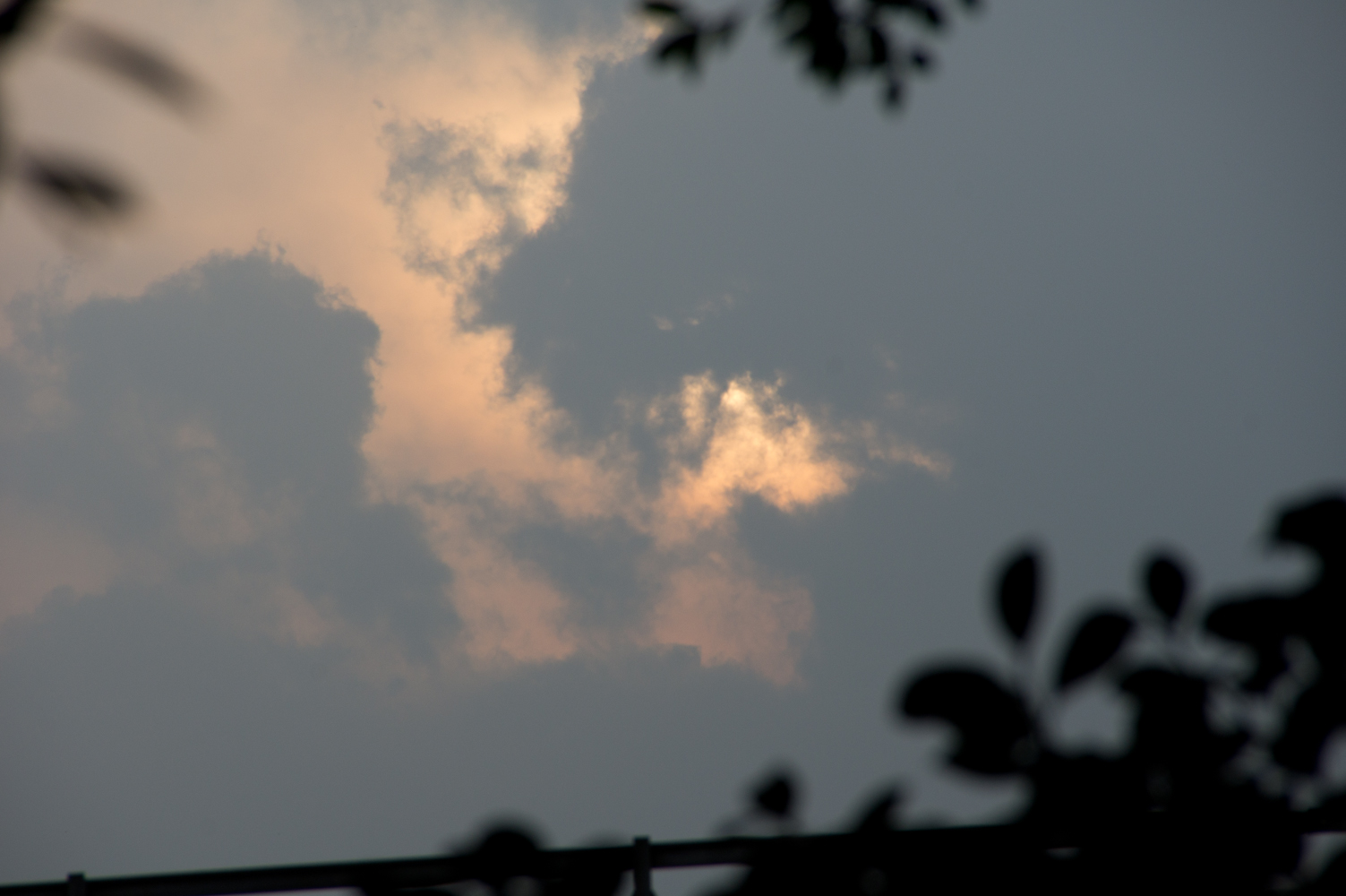 DSC00776.jpg