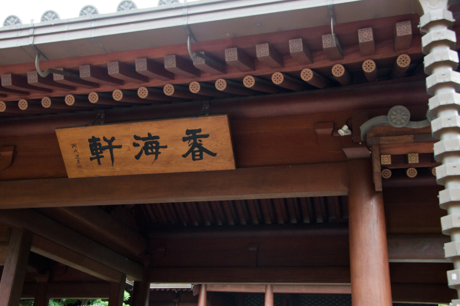 DSC00778.jpg