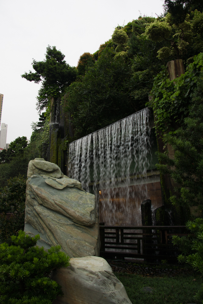 DSC00785.jpg