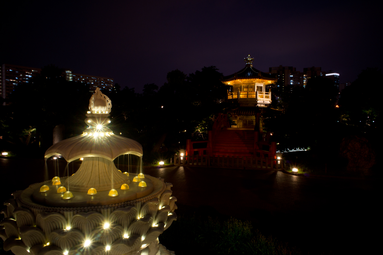 DSC00788.jpg