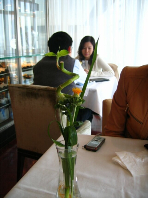 IMG_0257.jpg