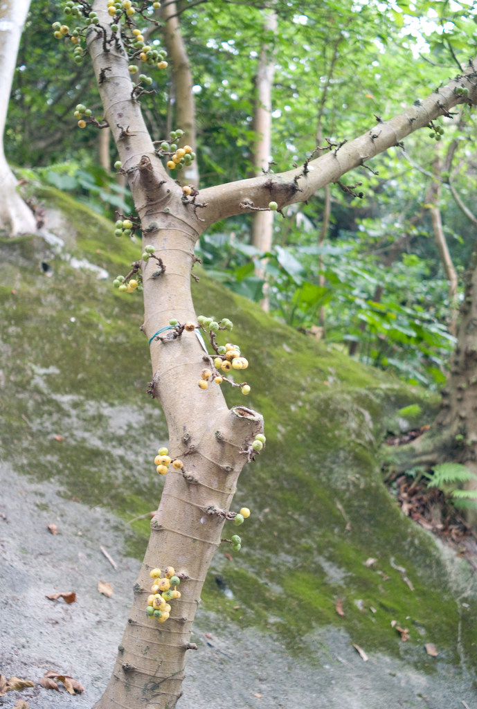 L1000043.jpg