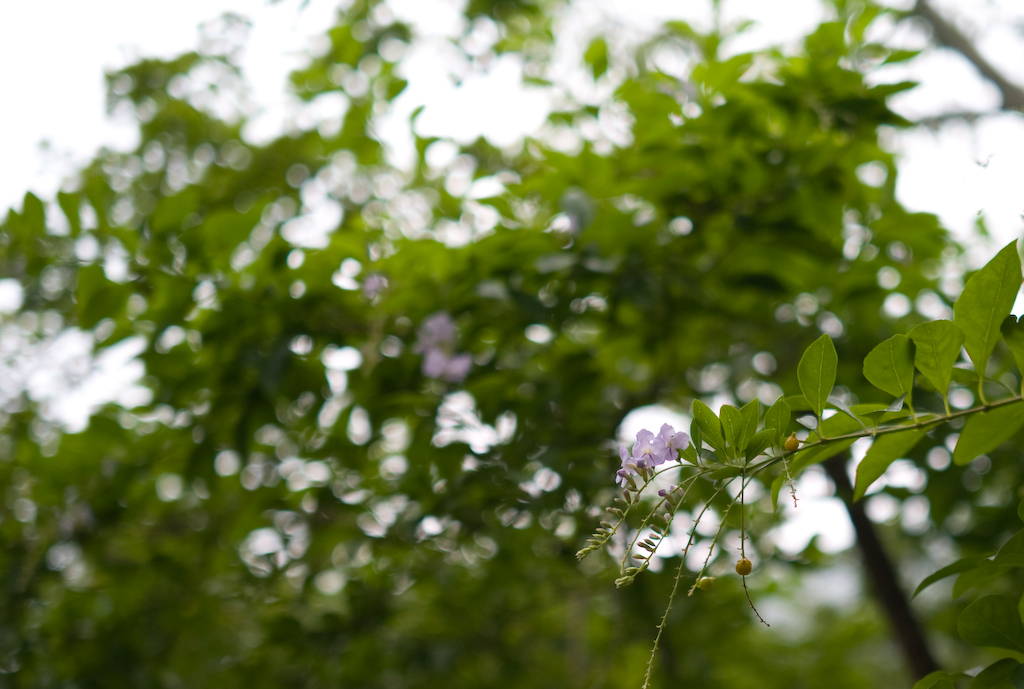 L1000052.jpg
