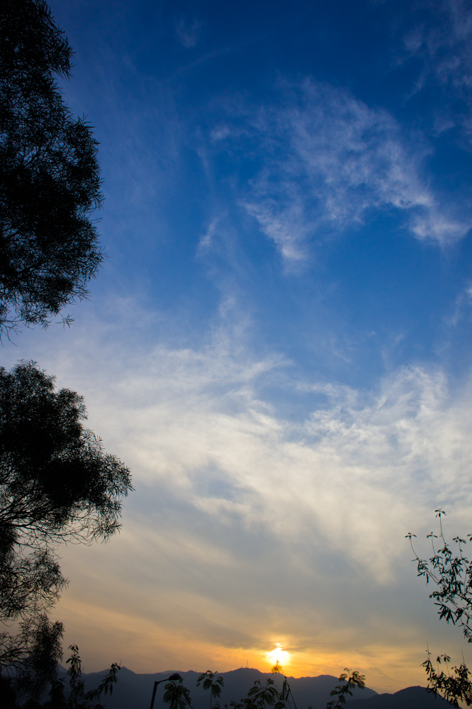 DSC04088.jpg