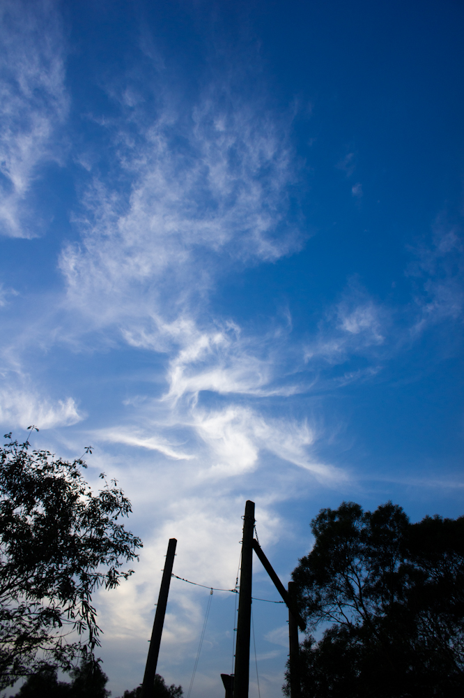 DSC04089.jpg