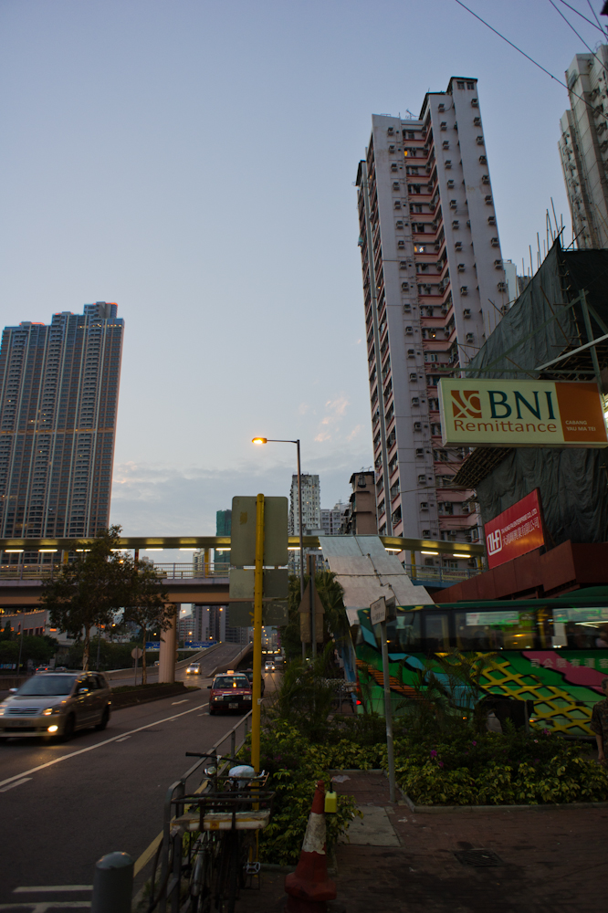 DSC03883.jpg