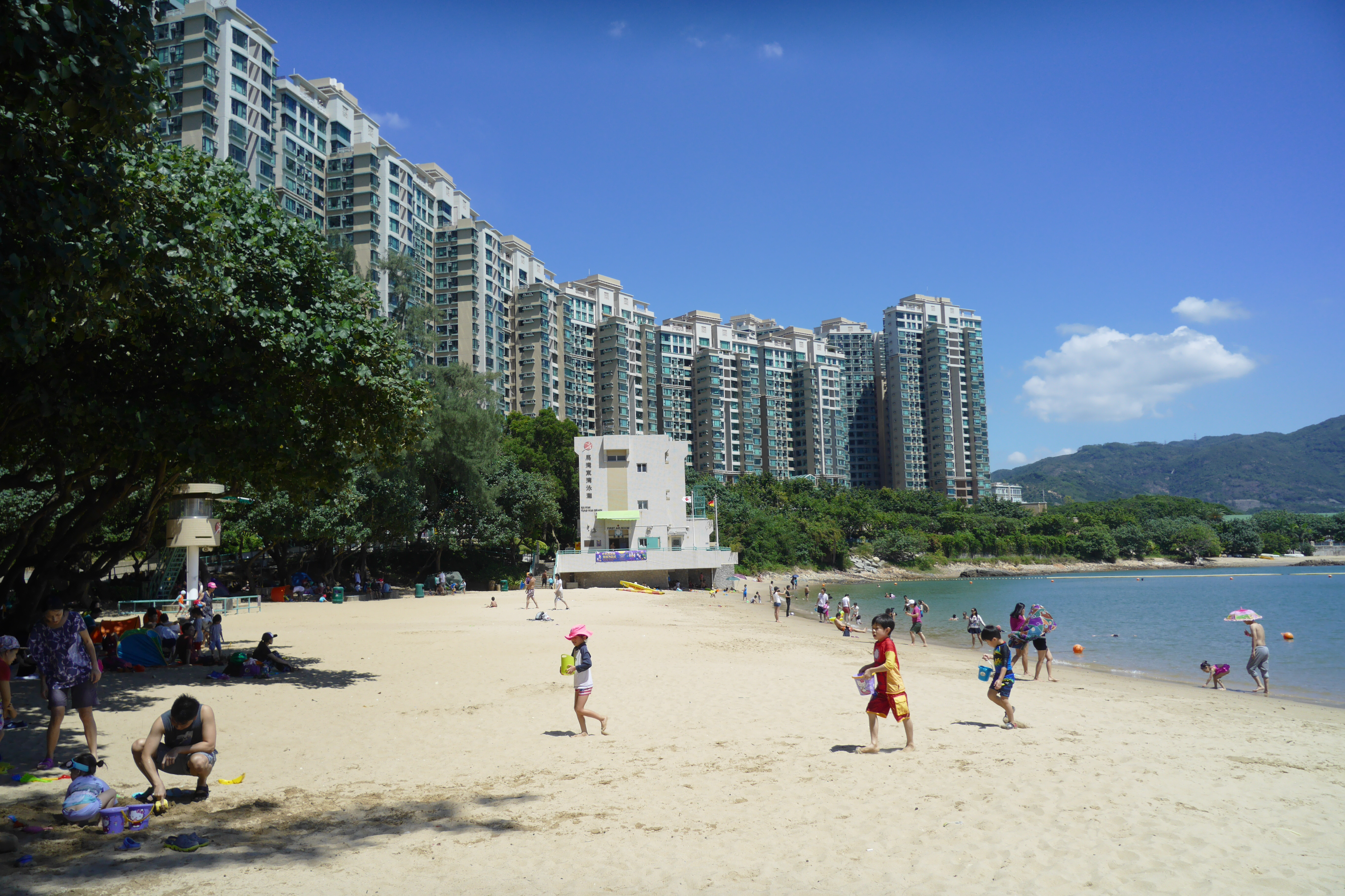 P1000553.jpg