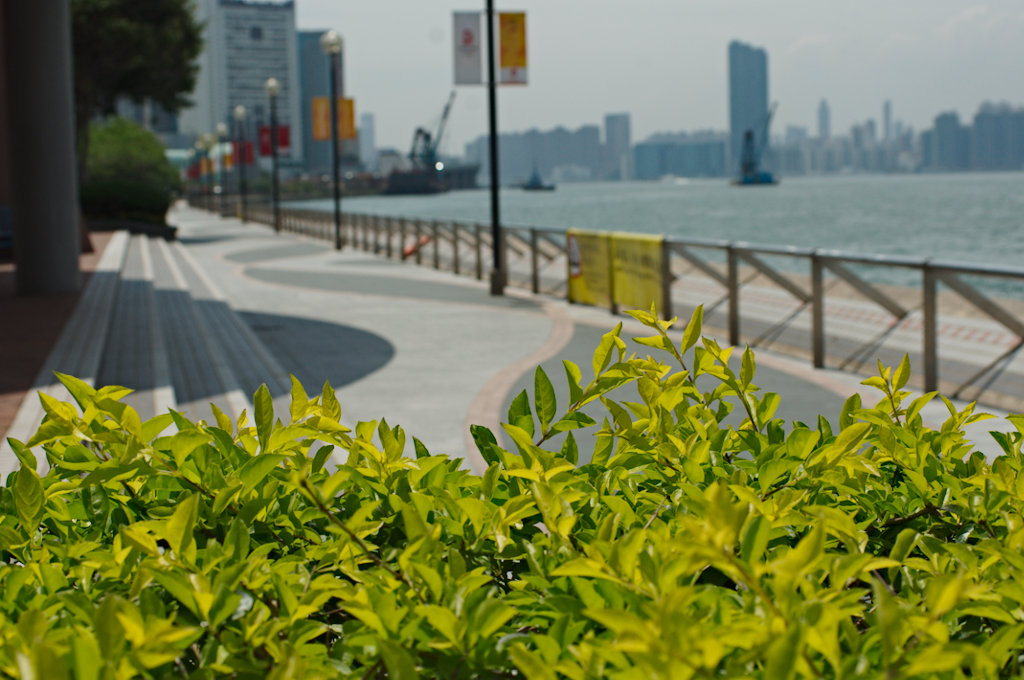 DSC02185_lzn.jpg