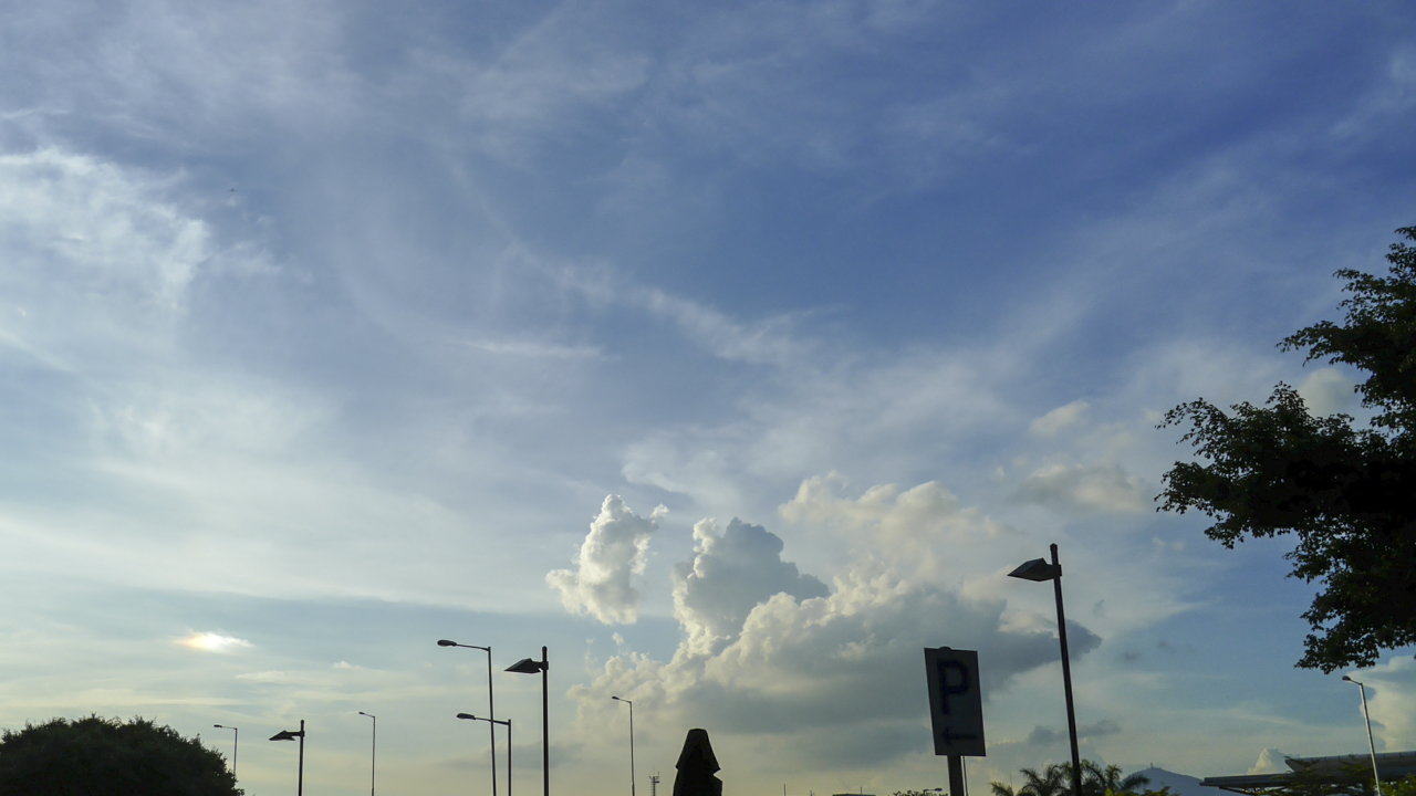 DSC_0042.jpg