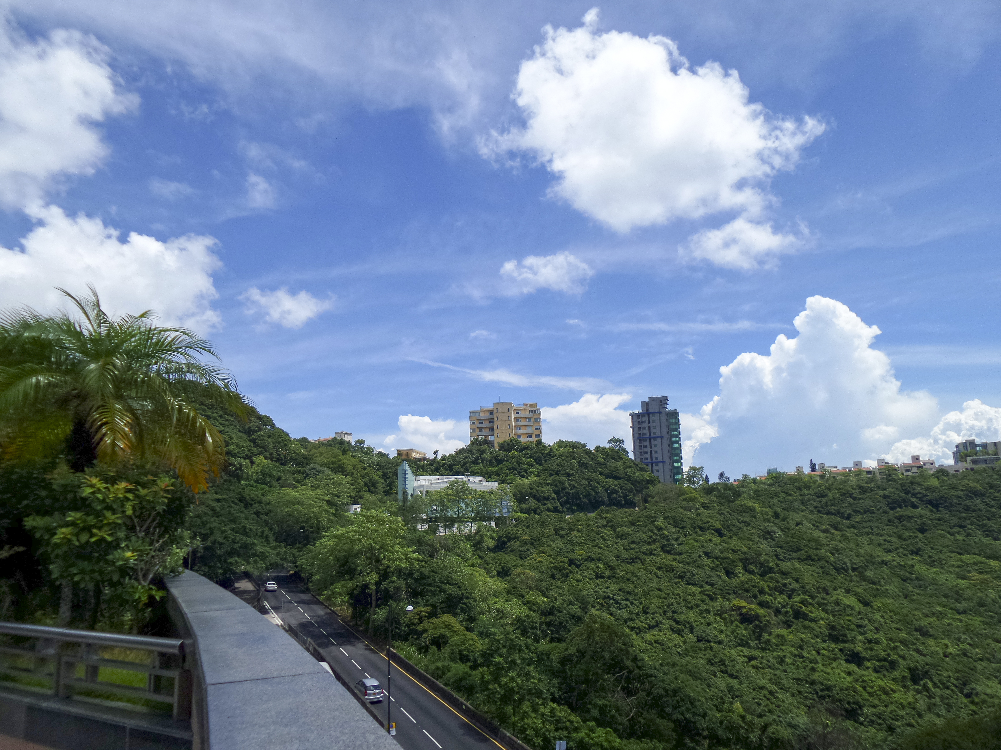 DSC_0189.jpg