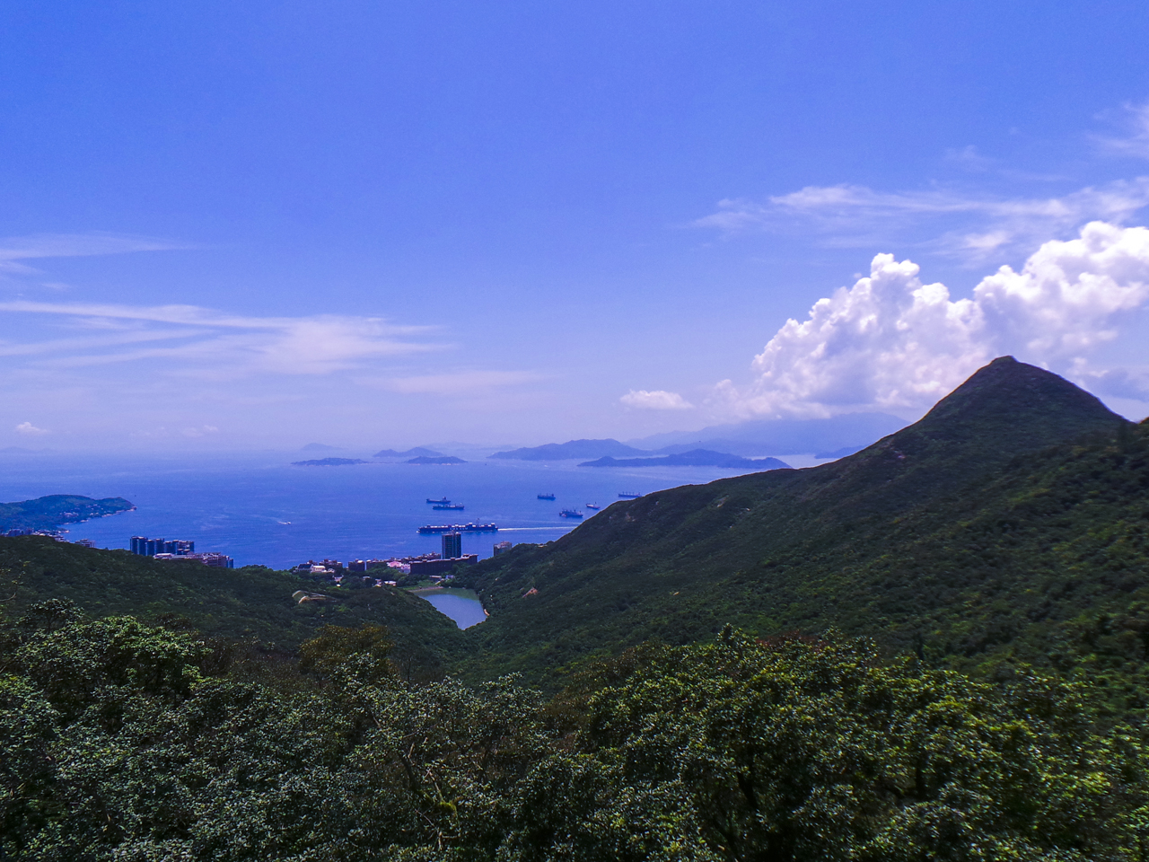 DSC_0334.jpg