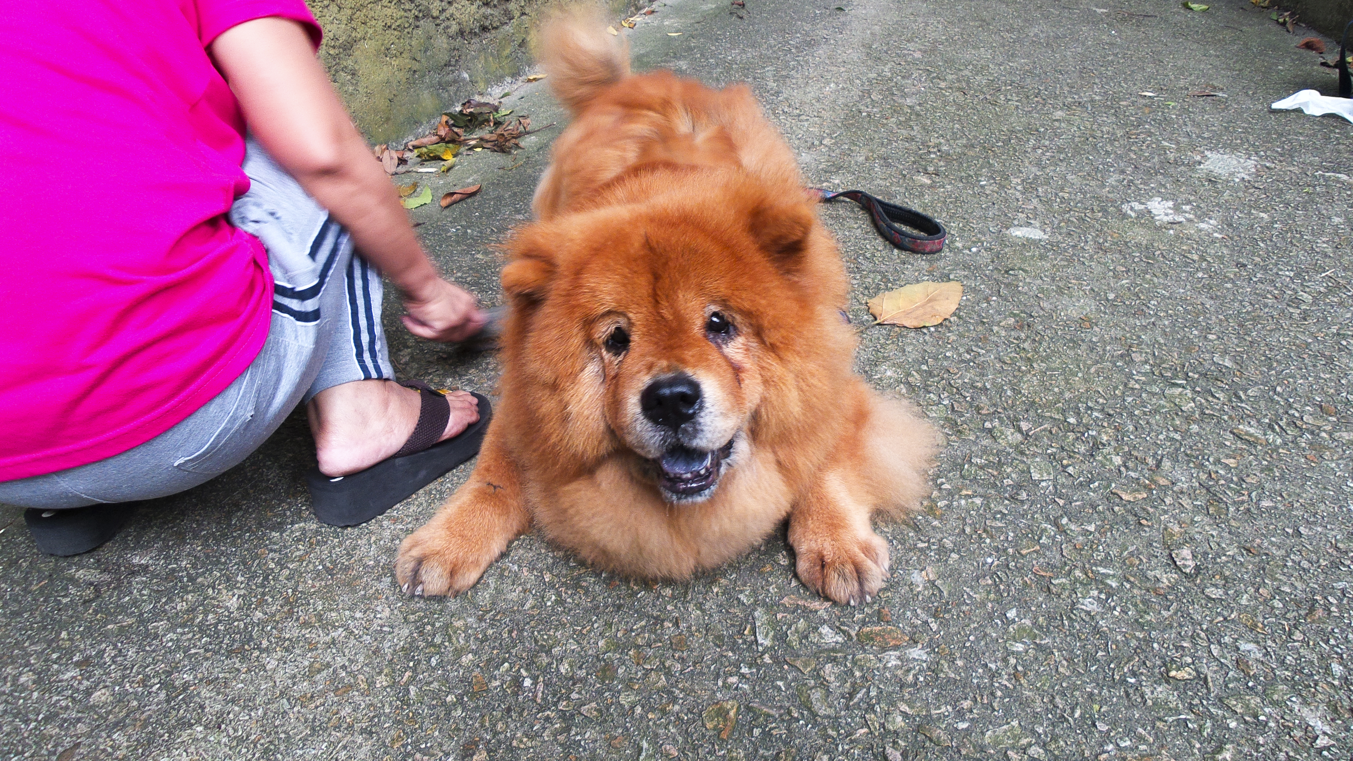 DSC_0348.jpg