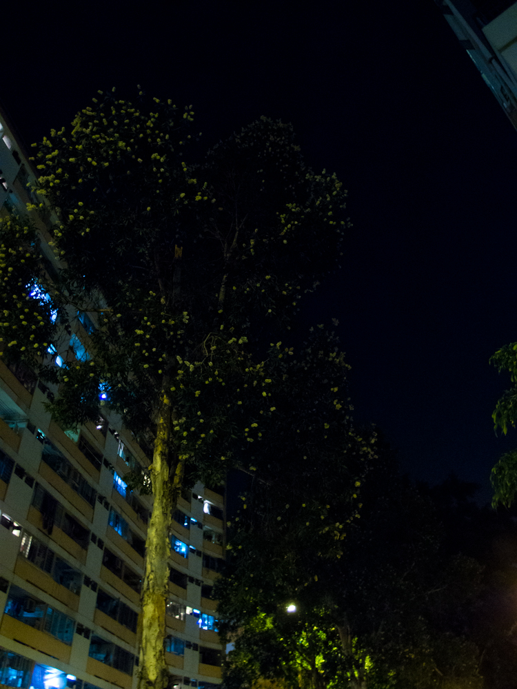 PA291262.jpg