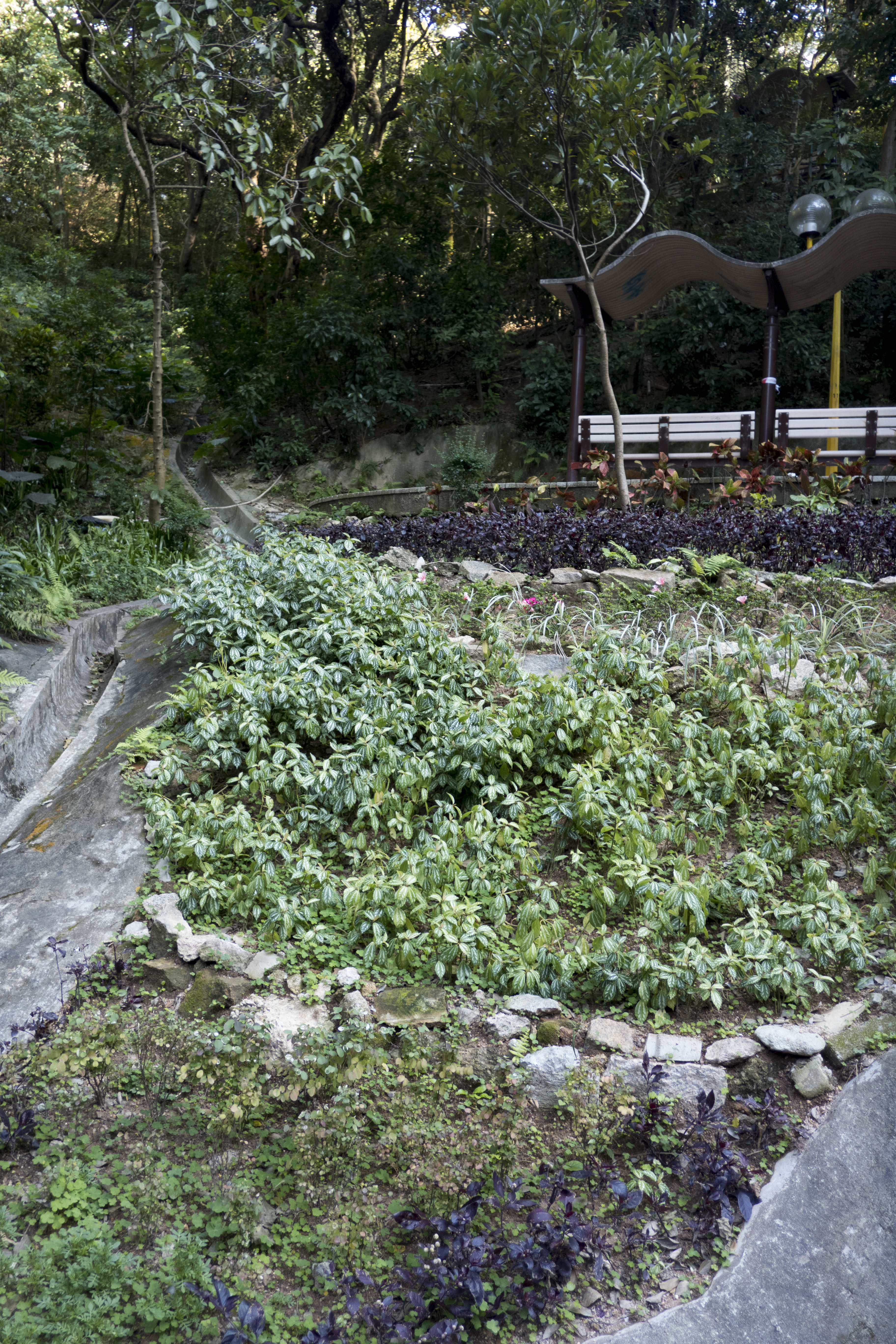 P1000359.jpg