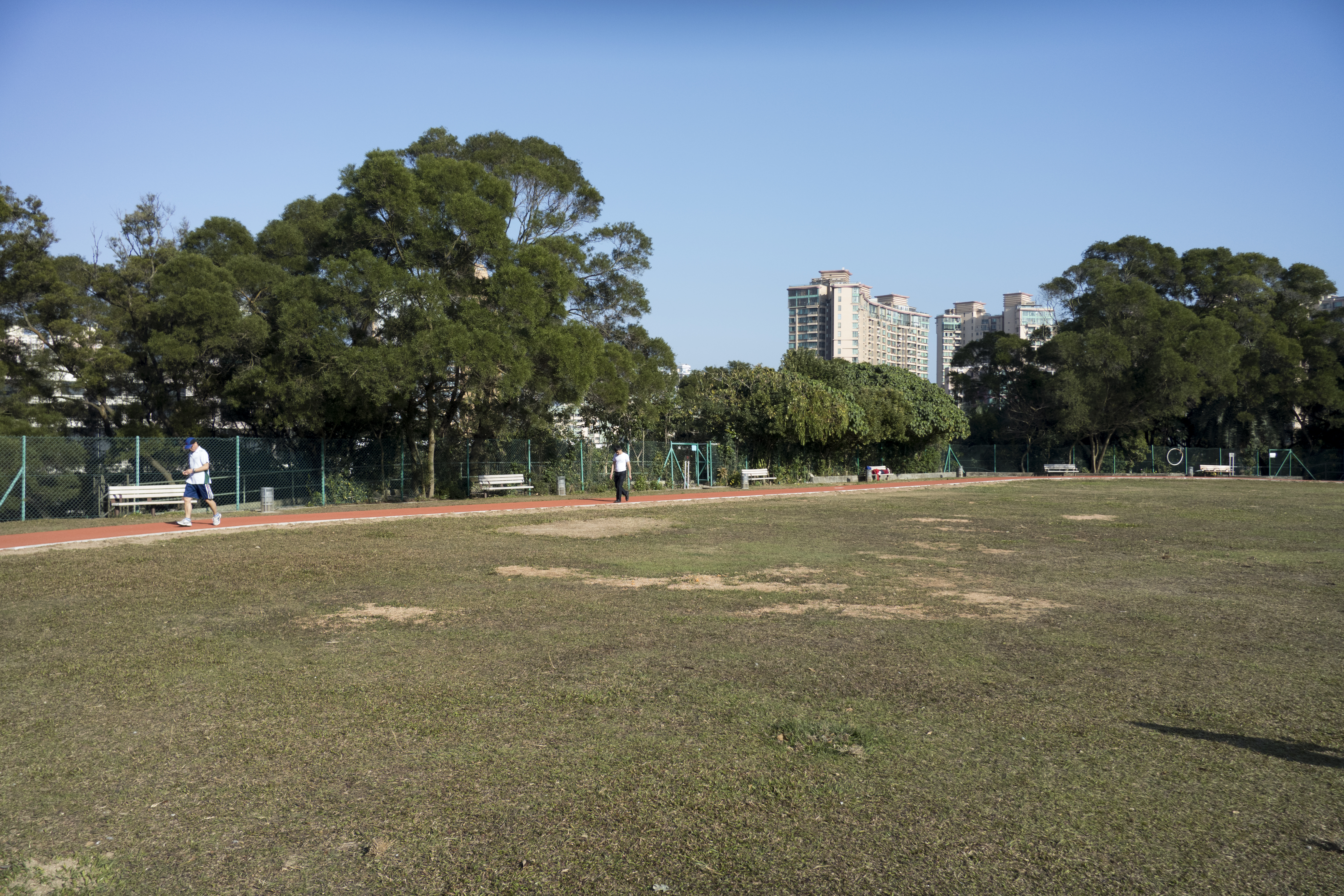P1000369.jpg