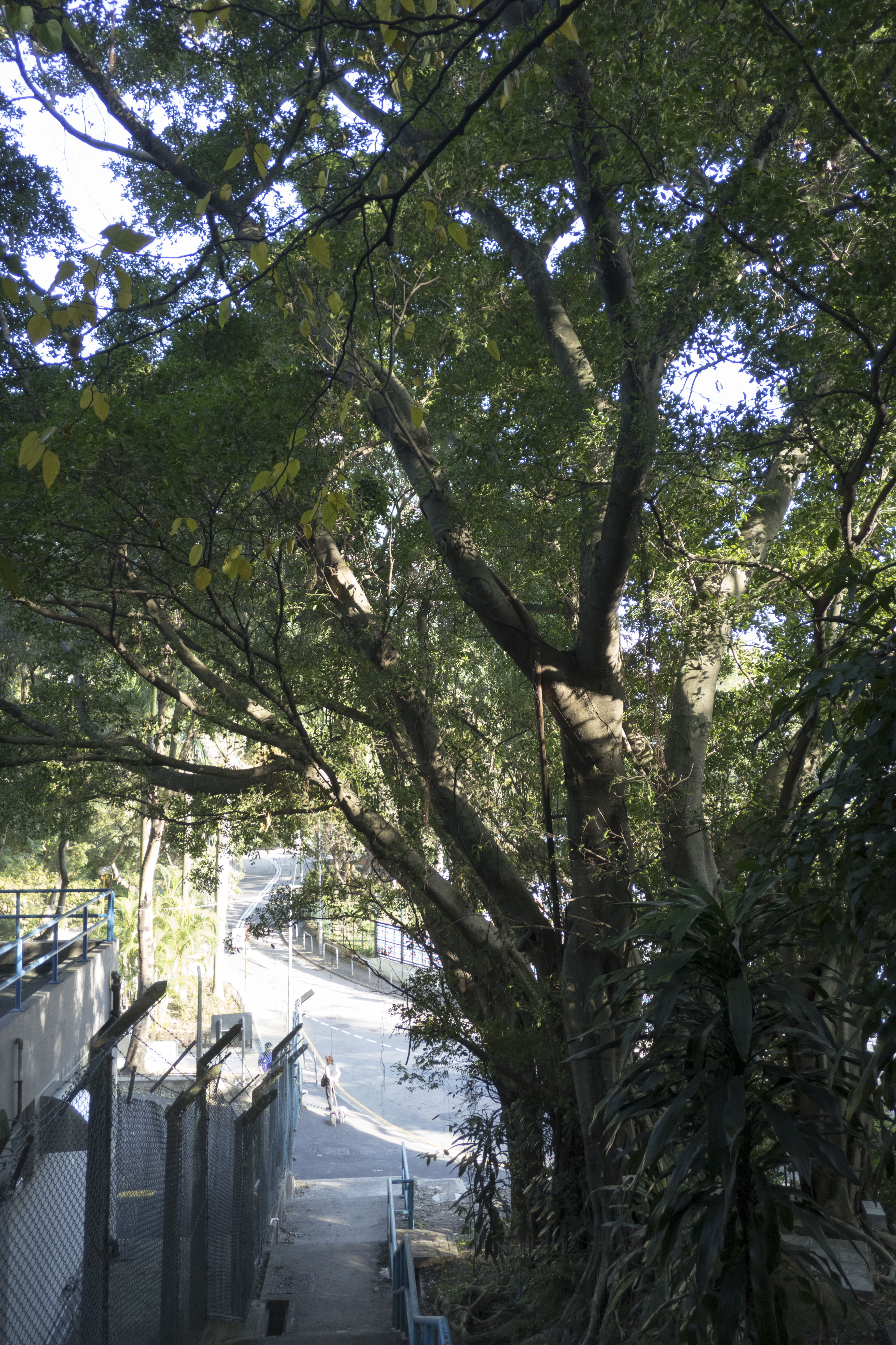P1000374.jpg