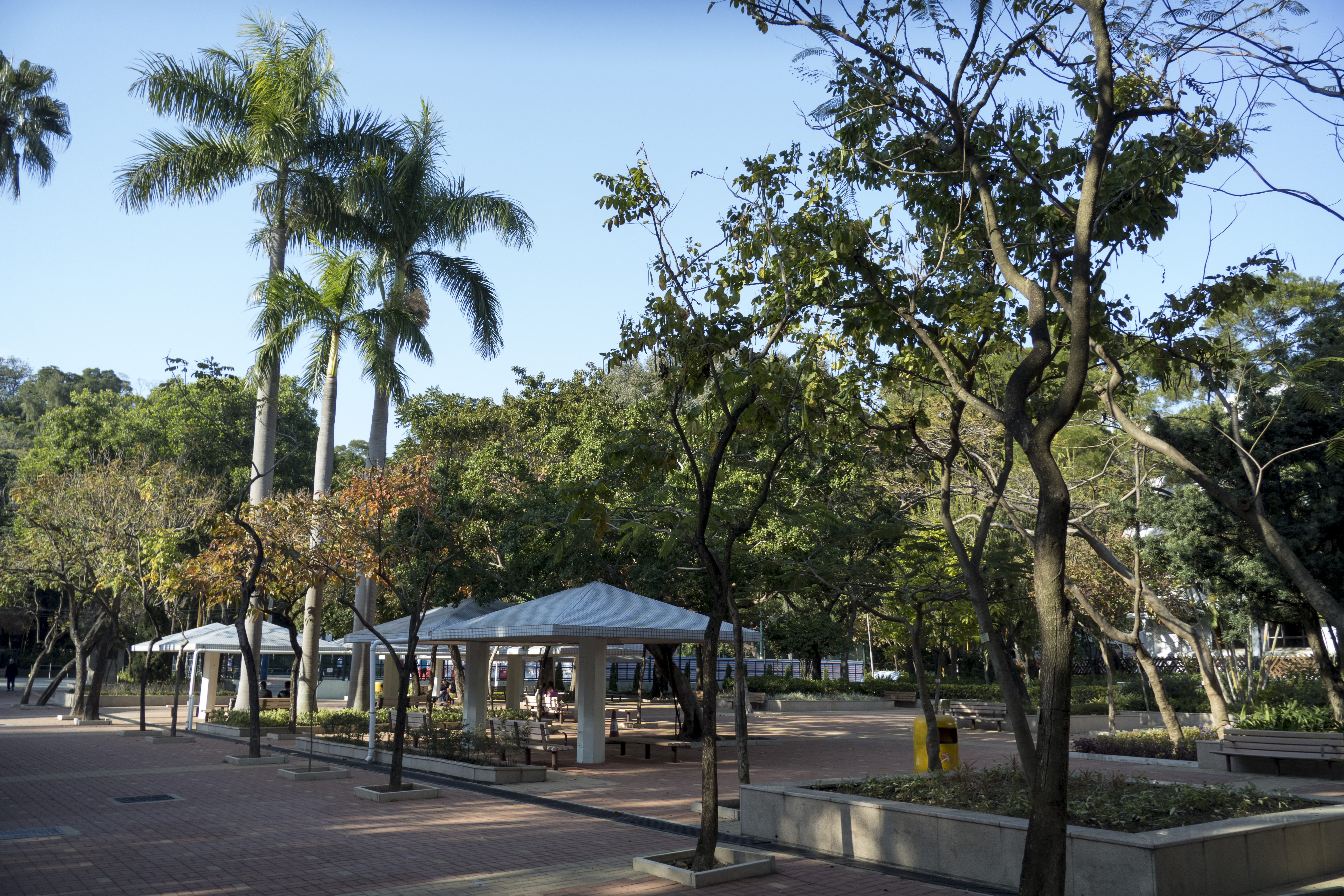 P1000378.jpg
