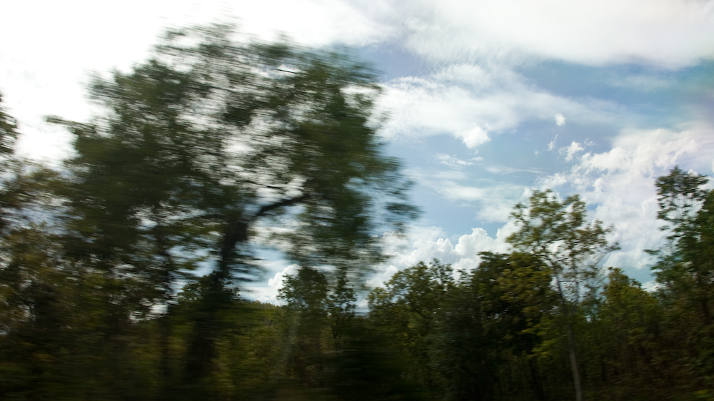 DSC09241.jpg