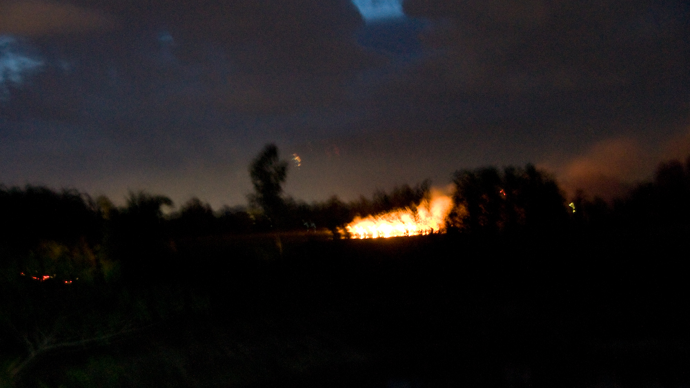 DSC09273.jpg