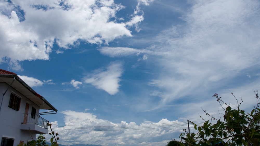 DSC09311.jpg