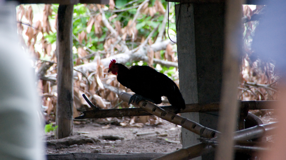 DSC09352.jpg