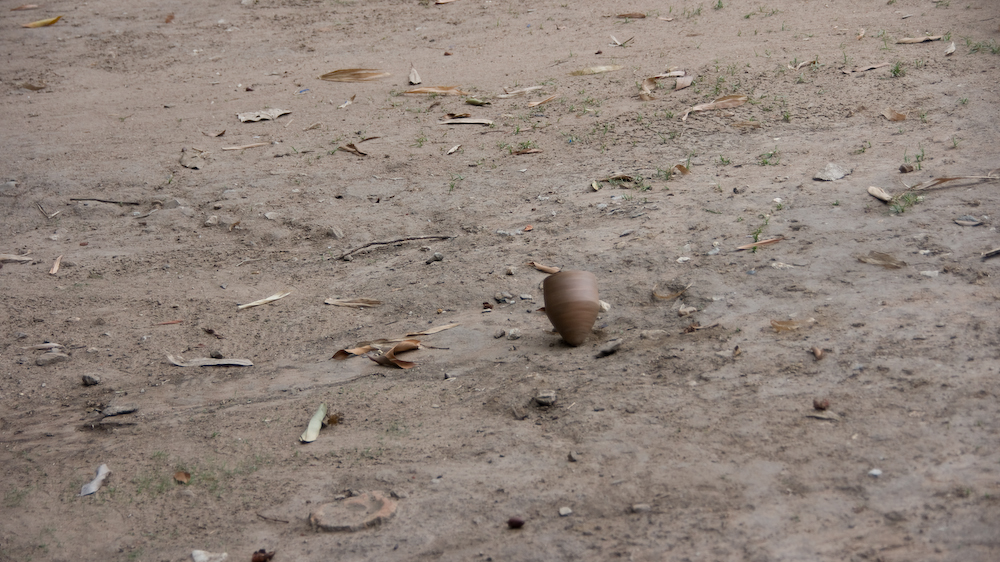 DSC09393.jpg
