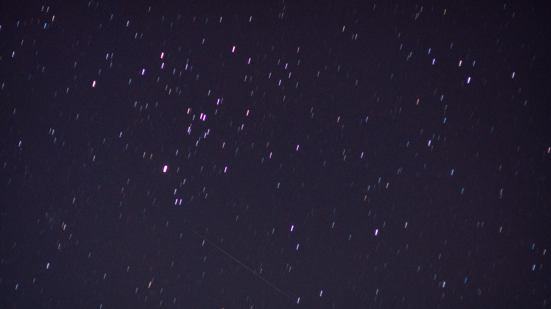 DSC01064.jpg
