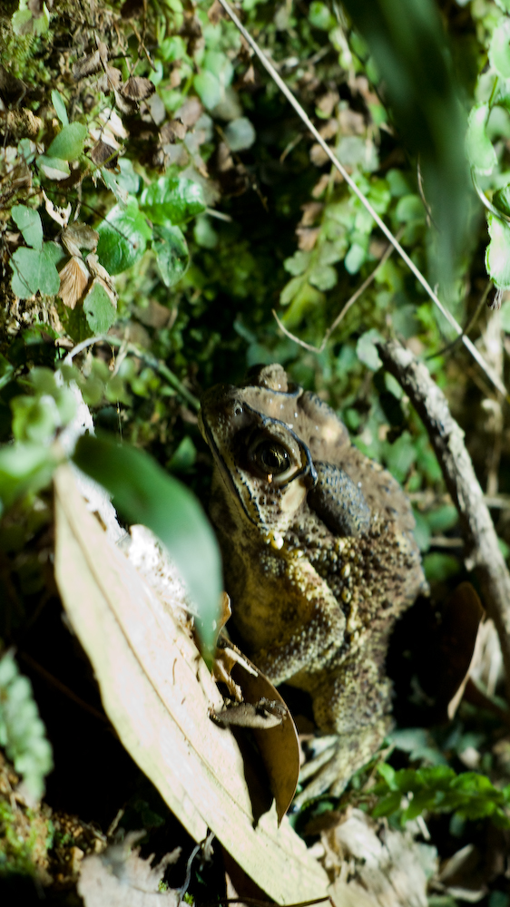 dsc08656.jpg