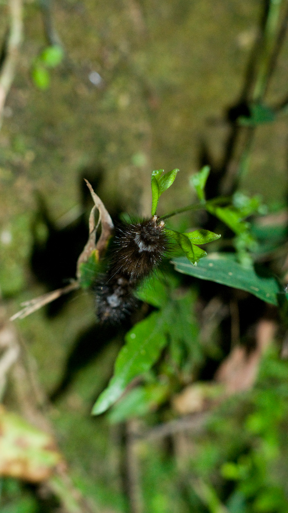 dsc08666.jpg