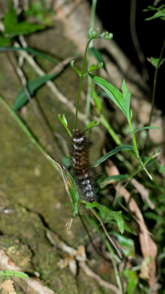 dsc08669.jpg
