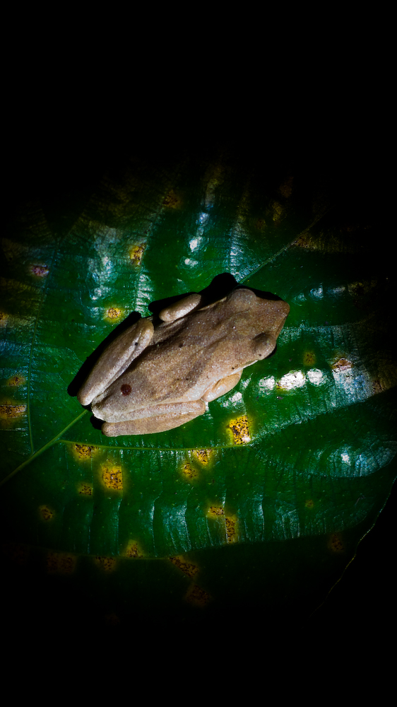 dsc08712.jpg