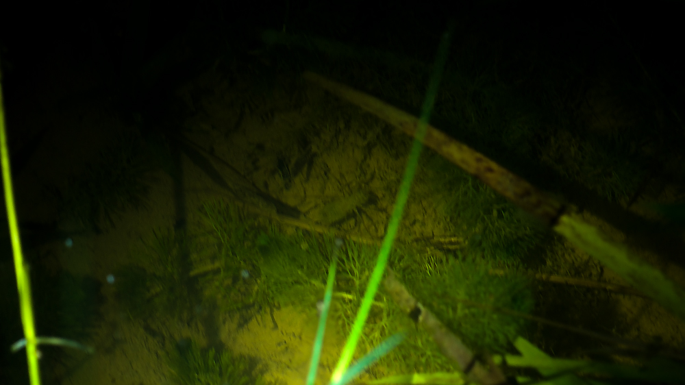 dsc08766.jpg