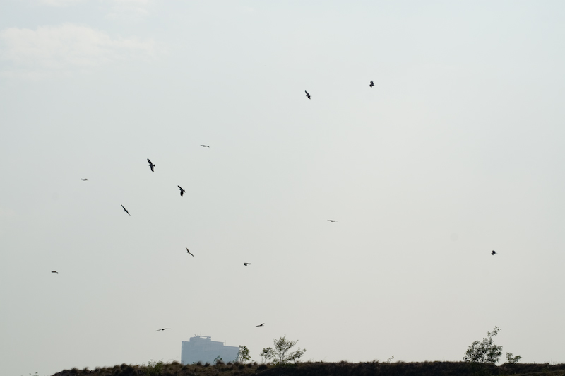 PICT1273.jpg