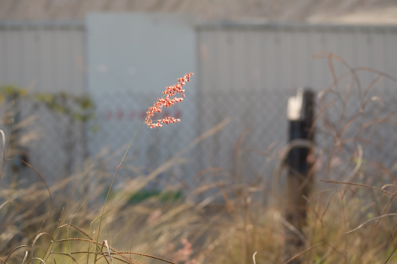 PICT1295.jpg