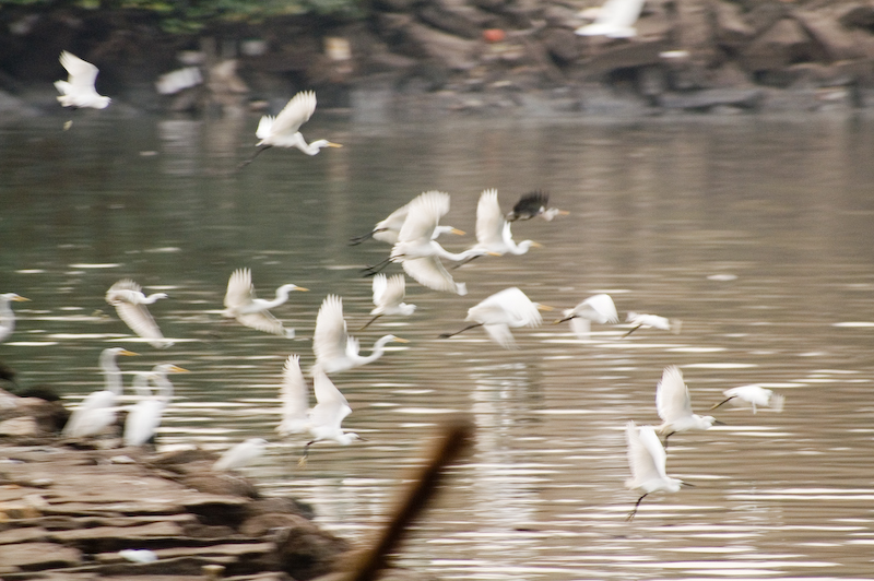 PICT2545.jpg