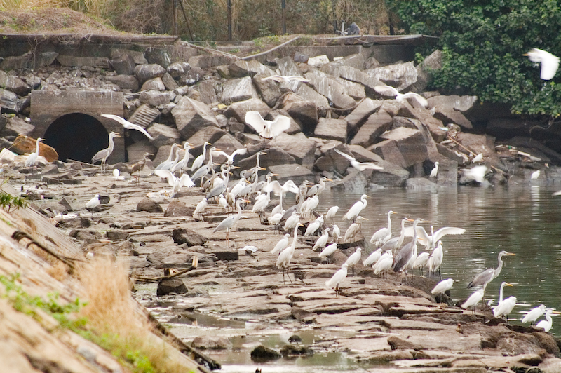 PICT2548.jpg