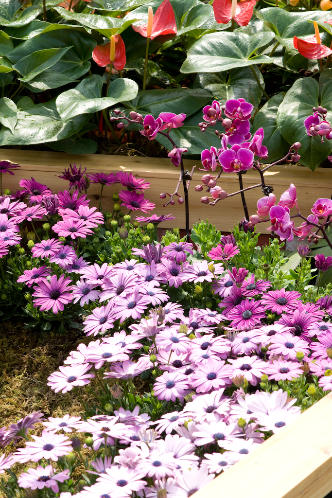 DSC01548.jpg