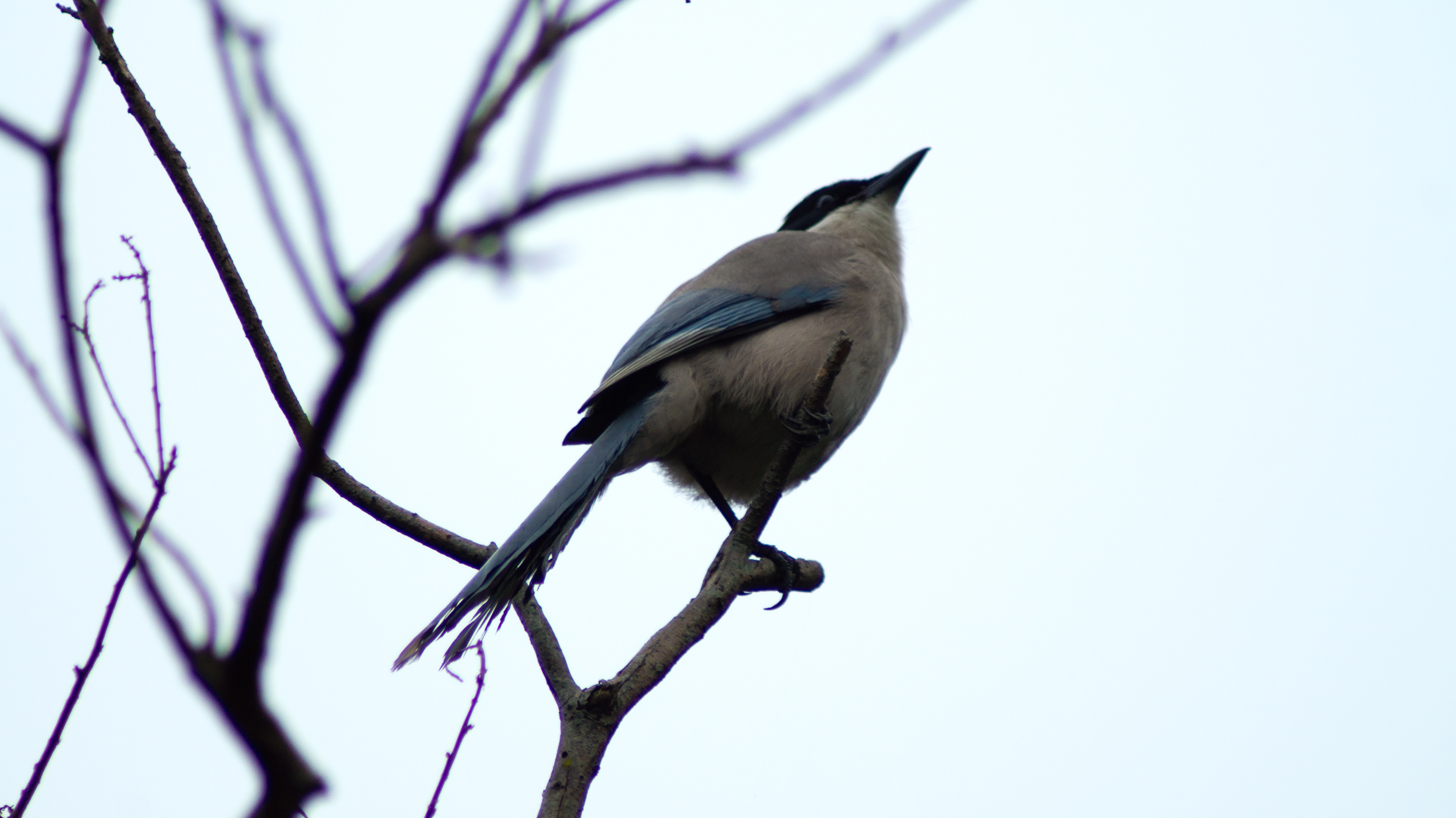 DSC03344.jpg