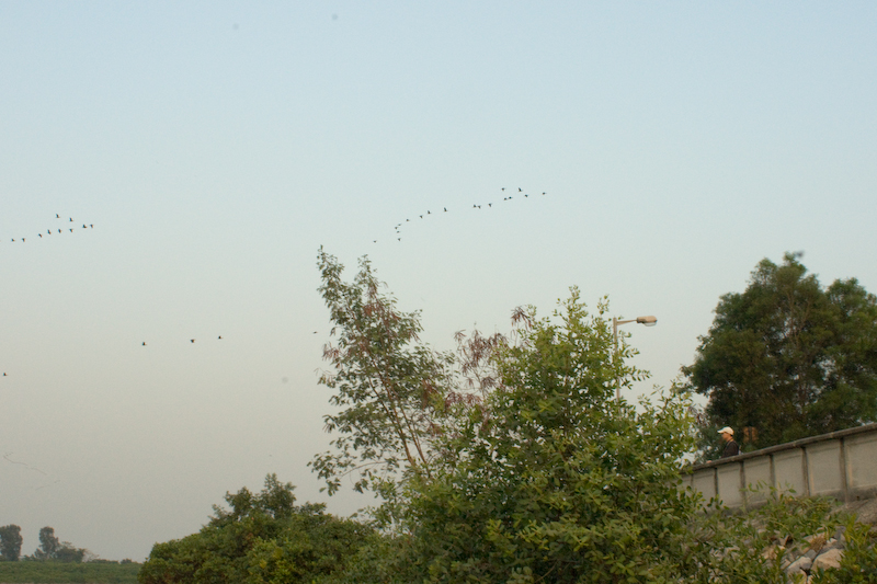 DSC00213.jpg