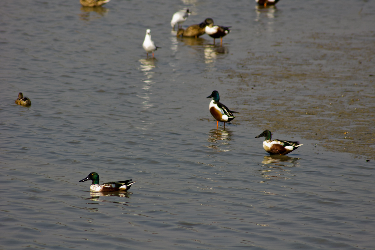 DSC03670.jpg