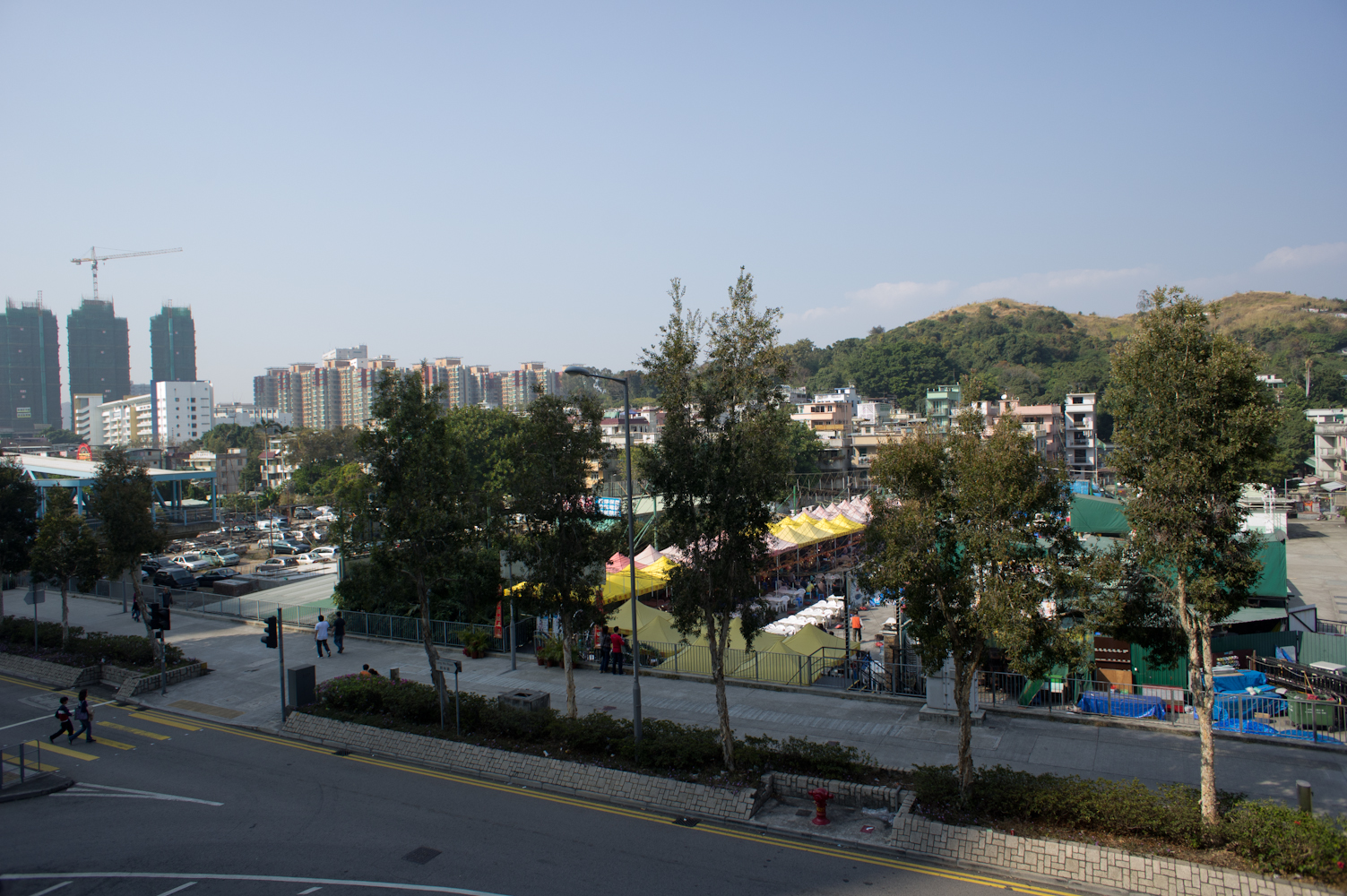 DSC03678.jpg