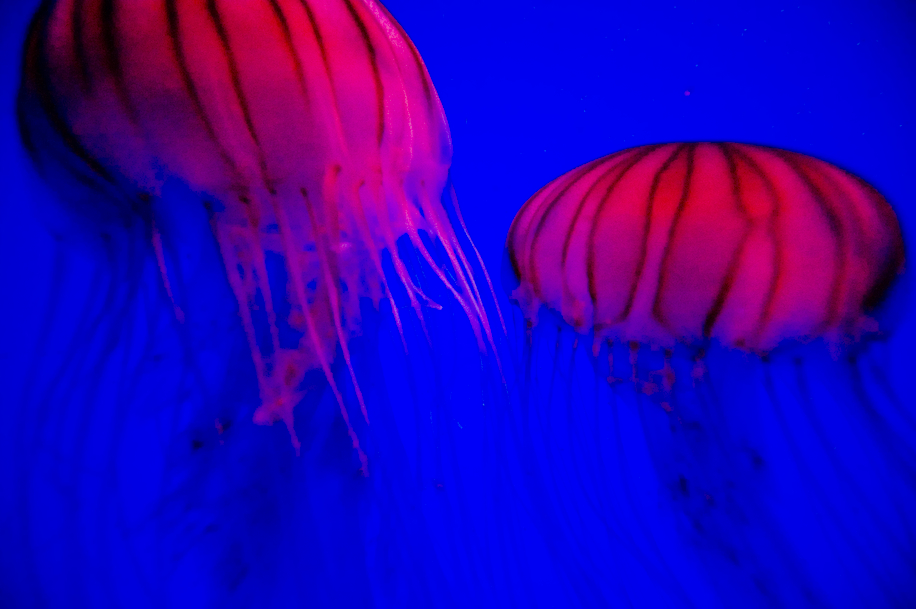 _ICT0232.jpg