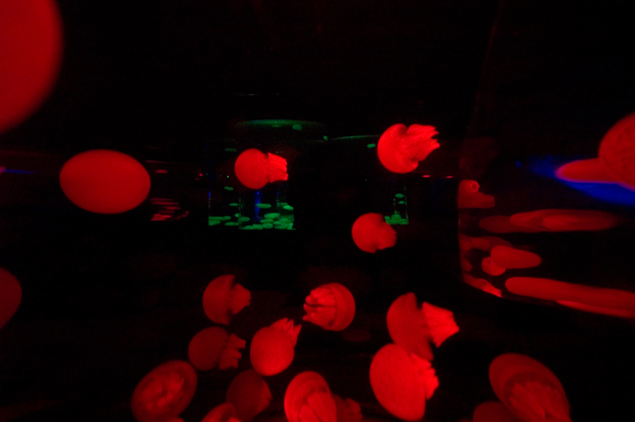 _ICT0272.jpg