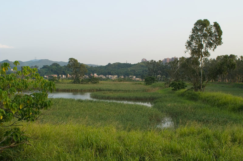 PICT0283.jpg