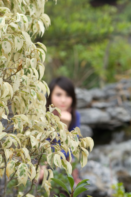 PICT1672.jpg
