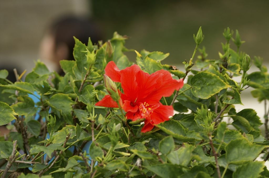 PICT0154.jpg