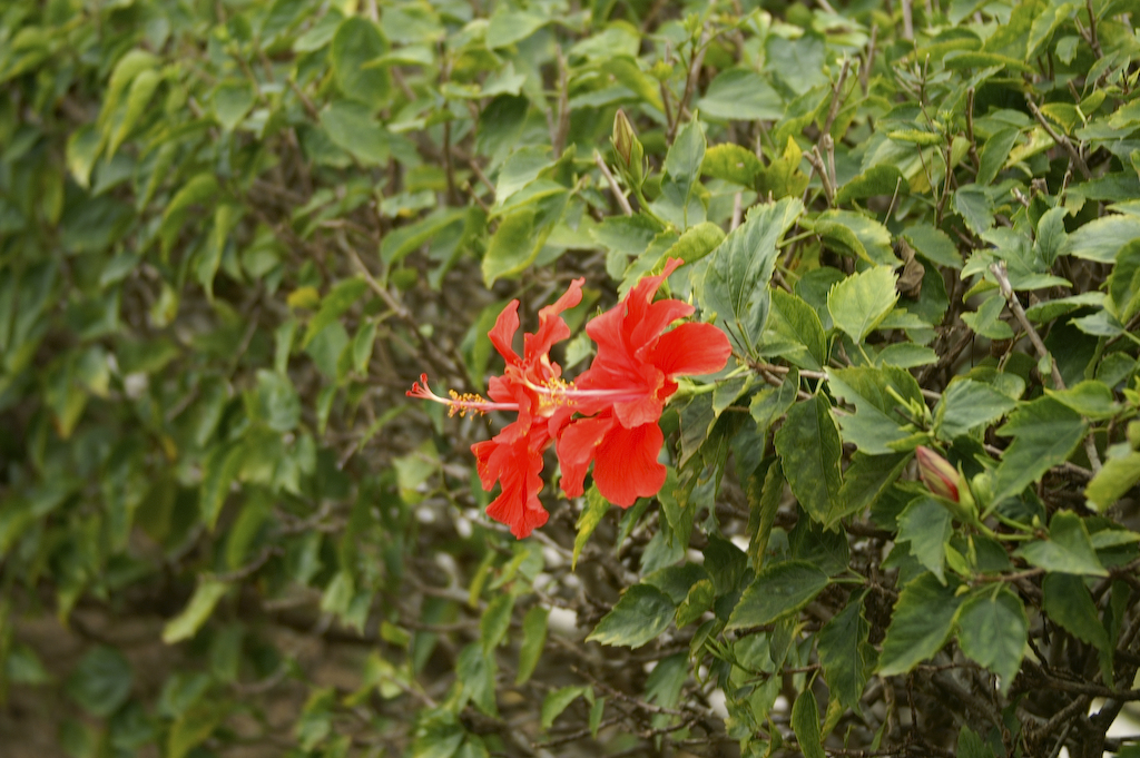 PICT0178.jpg